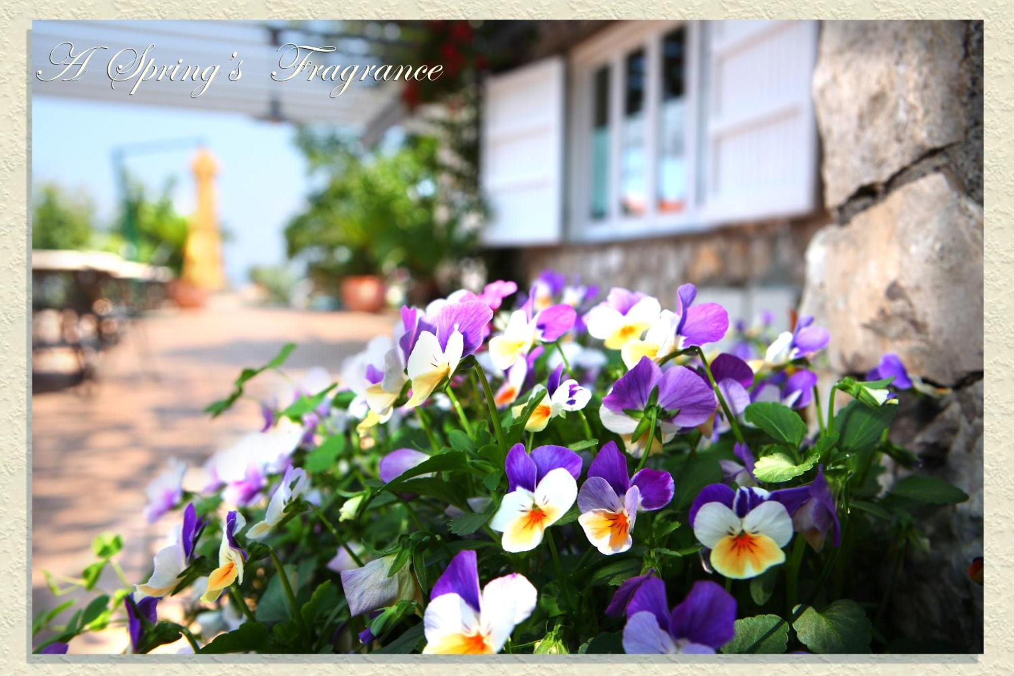 Villa Ketty Resort Vico Equense Exterior photo